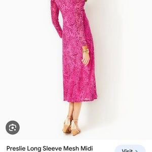 Preslie Long Sleeve Mesh Midi Dress size 4